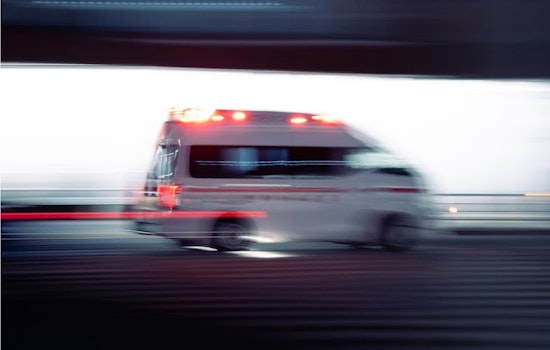 Trail Tragedy At Michigan Scout Camp Kills River Forest Boy, 11