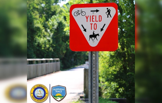 Trail Trouble: Rogue E-Bikes Menace Tammany Trace As Patrols Tighten