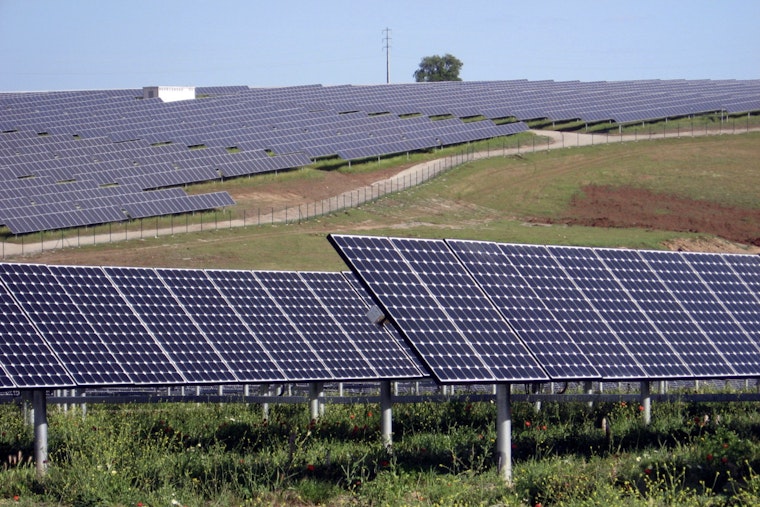 Trump Allies Torch New York Solar Farms In Prime Farmland Showdown