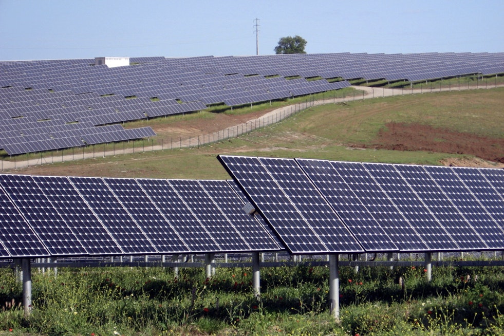 Trump Allies Torch New York Solar Farms In Prime Farmland Showdown