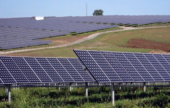 Trump Allies Torch New York Solar Farms In Prime Farmland Showdown