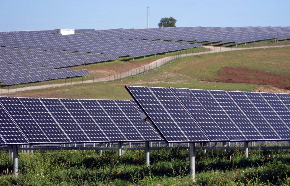 Trump Allies Torch New York Solar Farms In Prime Farmland Showdown