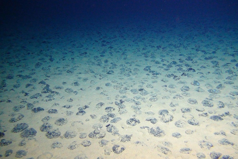Trump Team Targets American Samoa Seafloor In High-Stakes Mining Play