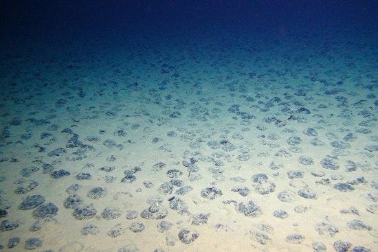 Trump Team Targets American Samoa Seafloor In High-Stakes Mining Play