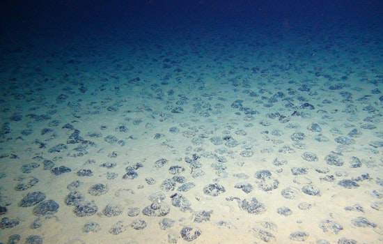 Trump Team Targets American Samoa Seafloor In High-Stakes Mining Play