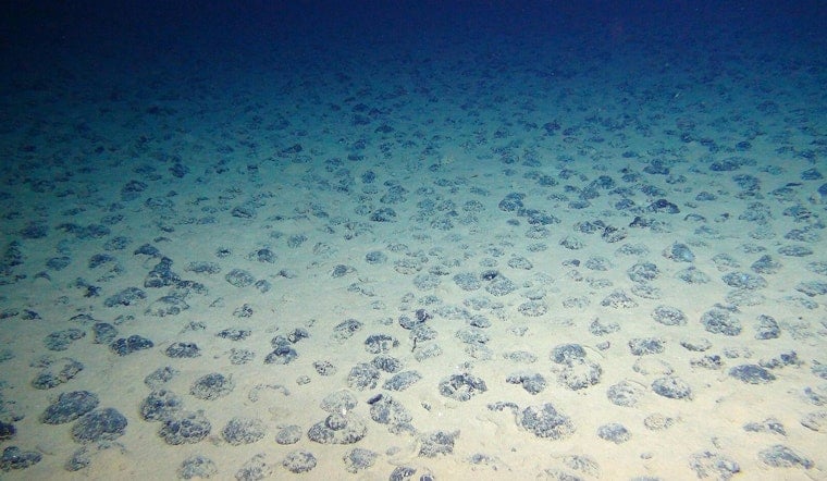 Trump Team Targets American Samoa Seafloor In High-Stakes Mining Play