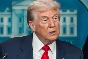 Trump’s ‘Golden Eagle’ Glam Shot Sets Off DC Firestorm Before America 250