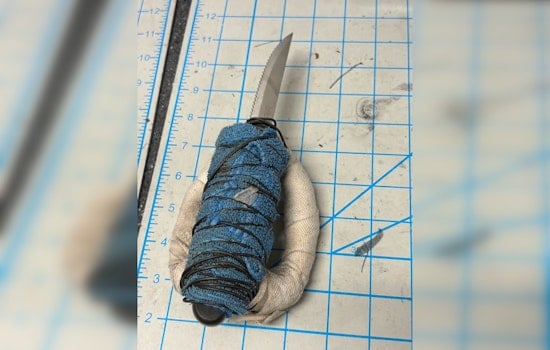 Tukwila Shock: 70-Year-Old Hurt In Random Attack, Seattle Man Nabbed At SeaTac