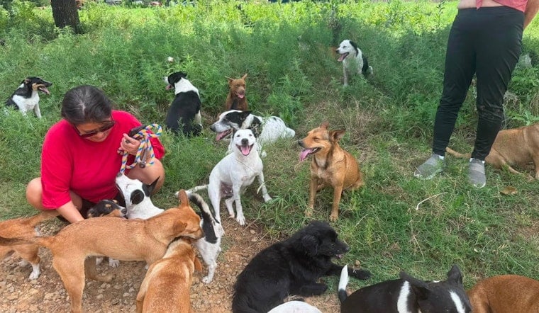 Tulsa Rescue Races To Save 100-Plus Dogs On Creek County Land