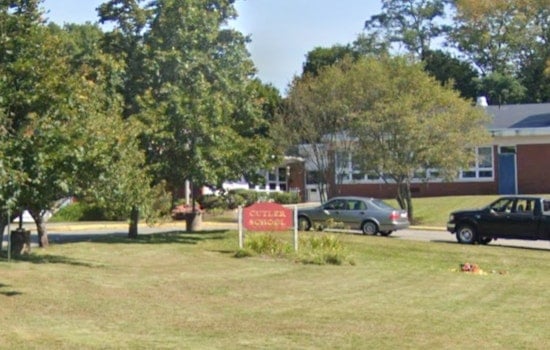 Two Loose Horses Spotted Near Cutler Elementary in Hamilton