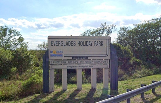 UF ‘Croc Docs’ Stage Marshside Python Egg Raid Near Everglades Holiday Park