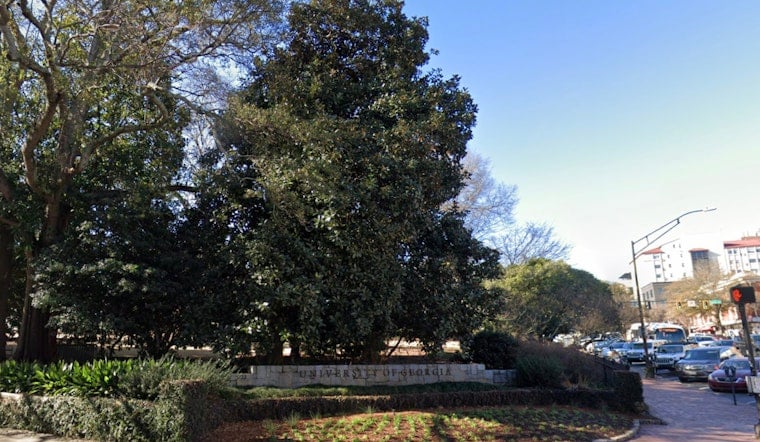 UGA Lab Wants Leftover Marigolds On The Menu, Not In The Trash