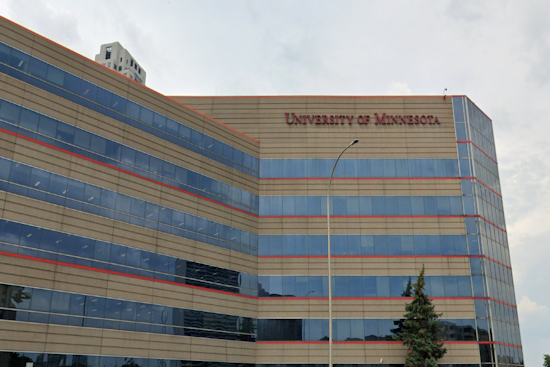 UMN Gender Dolls Spark Minnesota Firefight Ahead of 2026 Rollout