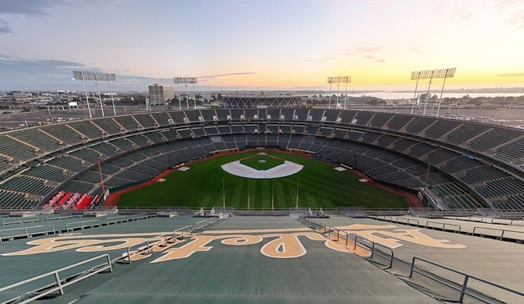 Unicorns Turn Oakland Coliseum Into Cricket Playoff Ground Zero
