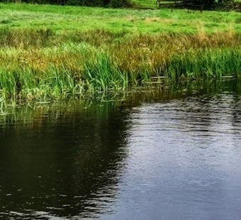 ‘Unimaginable’ Northland Tragedy As 10-Year-Old Boy Found In Briarcliff Pond