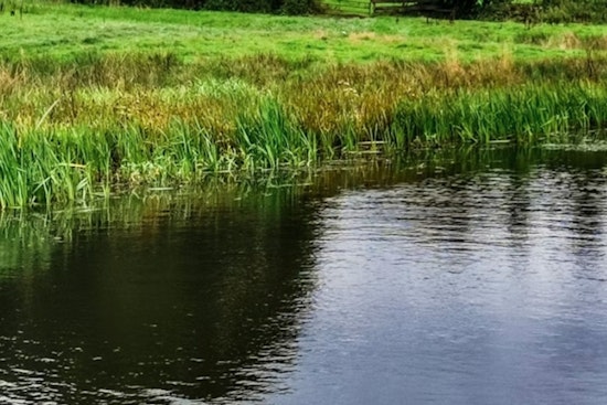 ‘Unimaginable’ Northland Tragedy As 10-Year-Old Boy Found In Briarcliff Pond