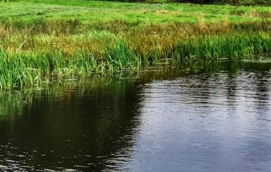 ‘Unimaginable’ Northland Tragedy As 10-Year-Old Boy Found In Briarcliff Pond