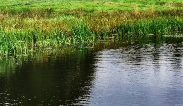 ‘Unimaginable’ Northland Tragedy As 10-Year-Old Boy Found In Briarcliff Pond
