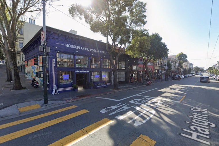 Upper Haight Plant Shop Flips The Switch On Late-Night Jazz