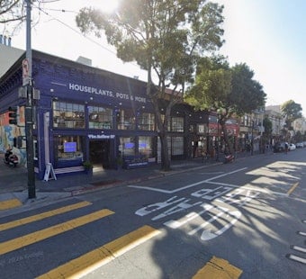 Upper Haight Plant Shop Flips The Switch On Late-Night Jazz