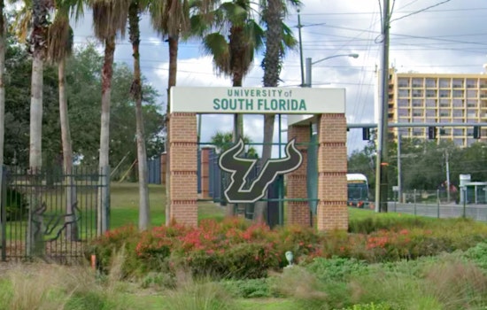 USF Power Shakeup: Limayem Shuffles Top Brass To Supercharge Tampa