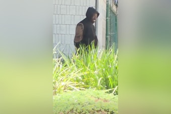 Vacaville Cops Nab Man After Alleged Exposure Near Ulatis Library