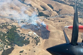 Vargas Fire Scorches Fremont Hills Before Crews Slam On the Brakes