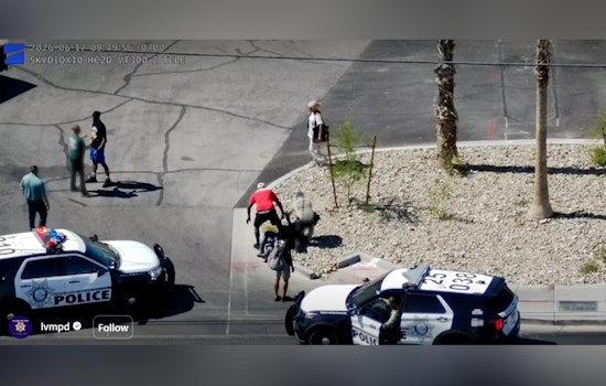 Vegas Eye In The Sky Nails Window-Smashing Suspect On Tropicana