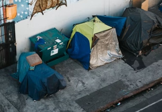 Venice Private Encampment Crew Includes Former Gang Members