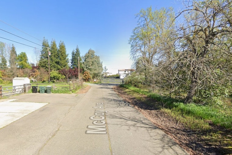 Vineyard Backyards Under Siege as Brush Fire Races Up McCoy Avenue