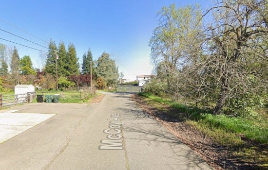 Vineyard Backyards Under Siege as Brush Fire Races Up McCoy Avenue