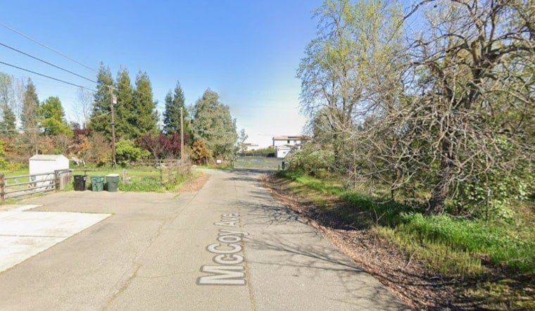 Vineyard Backyards Under Siege as Brush Fire Races Up McCoy Avenue