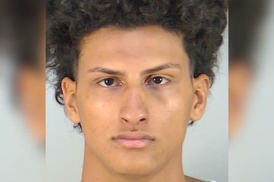 Viral Dog Video Lands Leesburg Teen In Felony Animal Sex Case