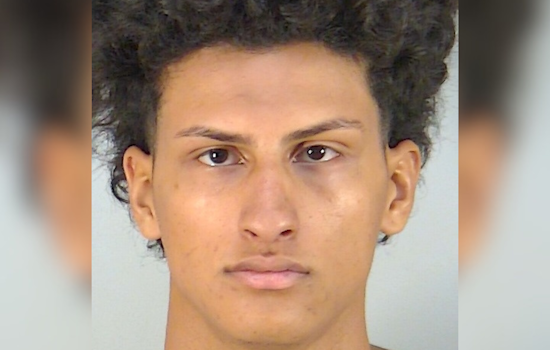 Viral Dog Video Lands Leesburg Teen In Felony Animal Sex Case