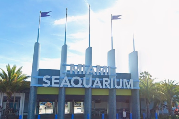 Virginia Key Seaquarium Site Poised To Swap Dolphins For Mega Yachts