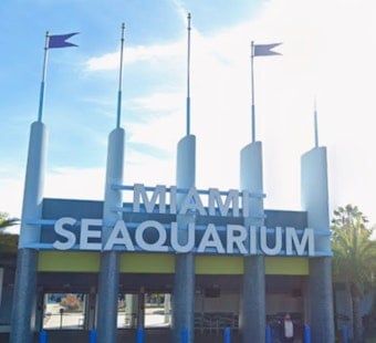 Virginia Key Seaquarium Site Poised To Swap Dolphins For Mega Yachts