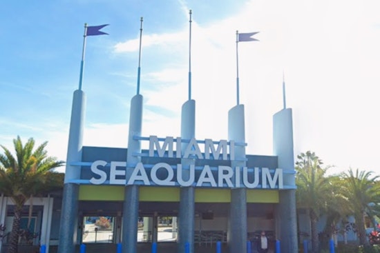 Virginia Key Seaquarium Site Poised To Swap Dolphins For Mega Yachts