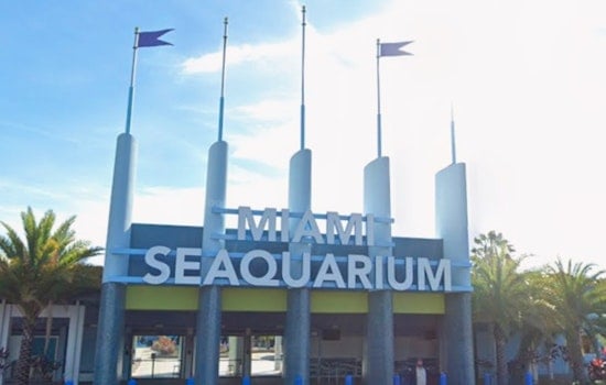 Virginia Key Seaquarium Site Poised To Swap Dolphins For Mega Yachts