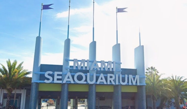Virginia Key Seaquarium Site Poised To Swap Dolphins For Mega Yachts