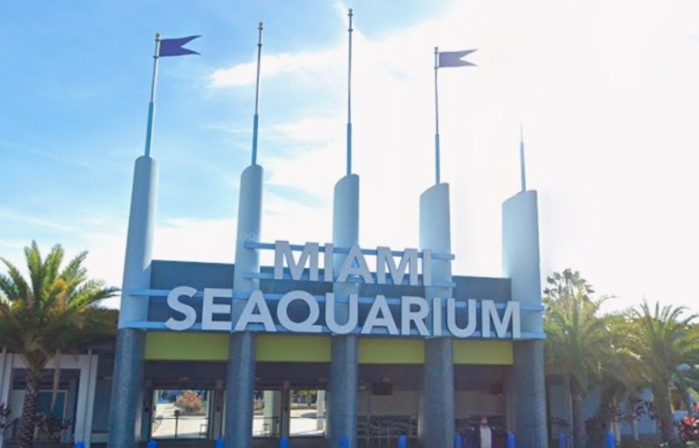 Virginia Key Seaquarium Site Poised To Swap Dolphins For Mega Yachts