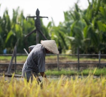 Paycheck Pileup, L&I Wage Mess Leaves Washington Farmworkers Hanging
