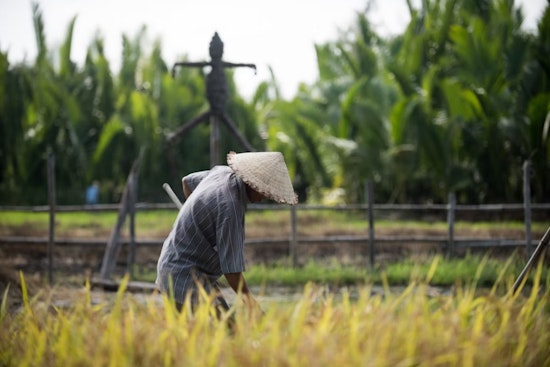 Paycheck Pileup, L&I Wage Mess Leaves Washington Farmworkers Hanging