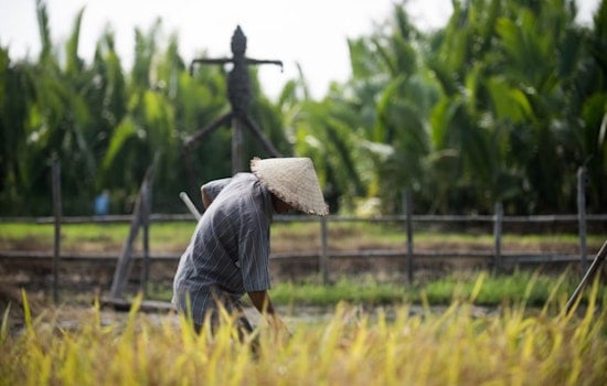 Paycheck Pileup, L&I Wage Mess Leaves Washington Farmworkers Hanging