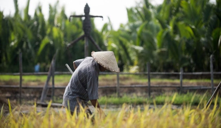 Paycheck Pileup, L&I Wage Mess Leaves Washington Farmworkers Hanging