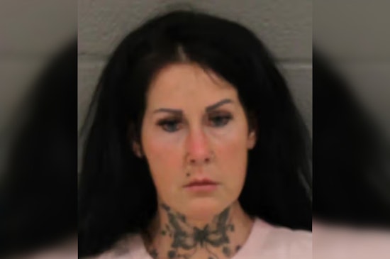 Wake County Woman Arrested After Flock Cameras Track Child Abduction Case