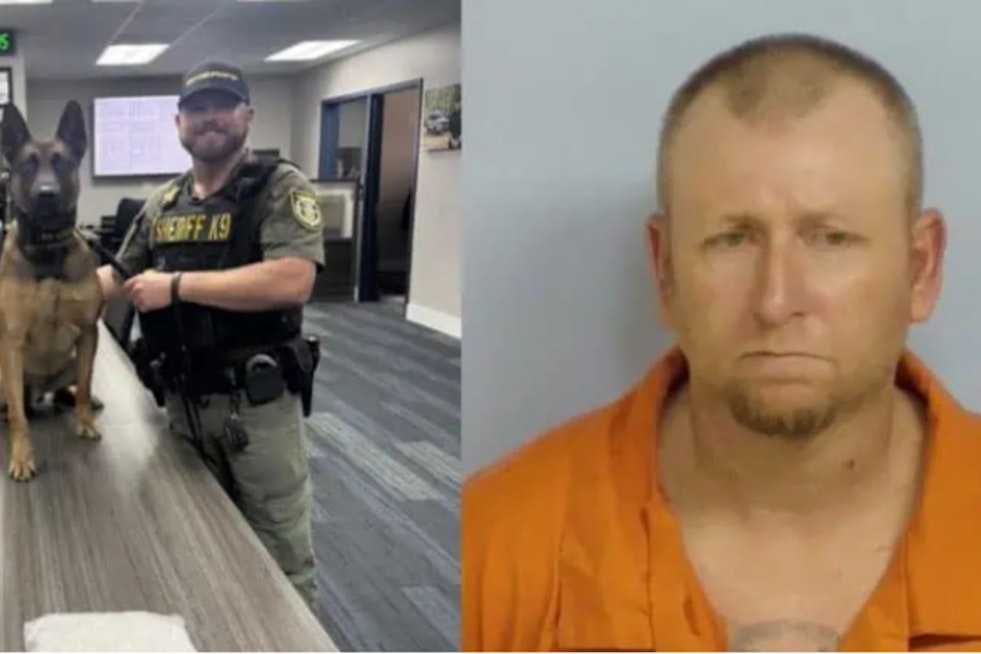 Walton County K-9 Cracks Fourth Of July Meth Toolbox Bust