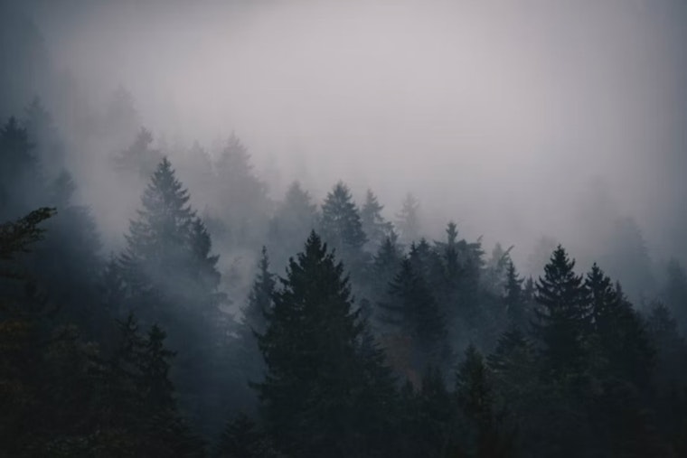 Washington D.C. Weather, Fog This Morning, Storms Tonight