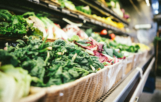 Washington, Greene Counties Lose Thousands Of SNAP Recipients