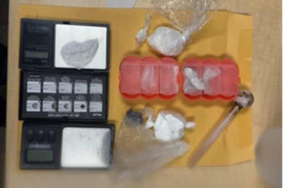 West Charlotte Drug Bust Turns Up Guns, Cash And Starving Dogs