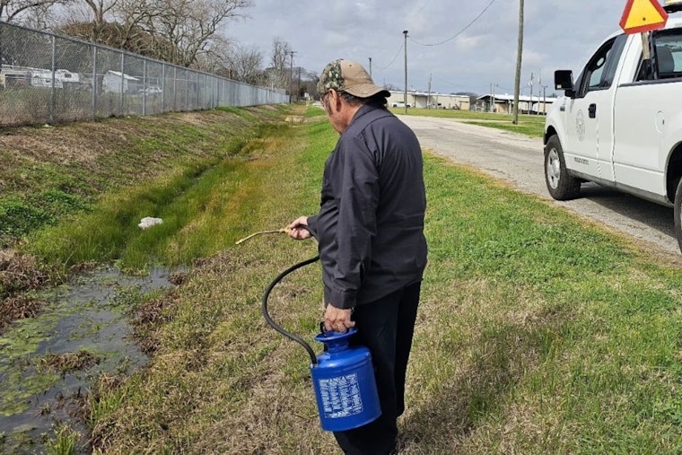 West Nile Hits Pearland As Mosquito Traps Pop Positive Across Town